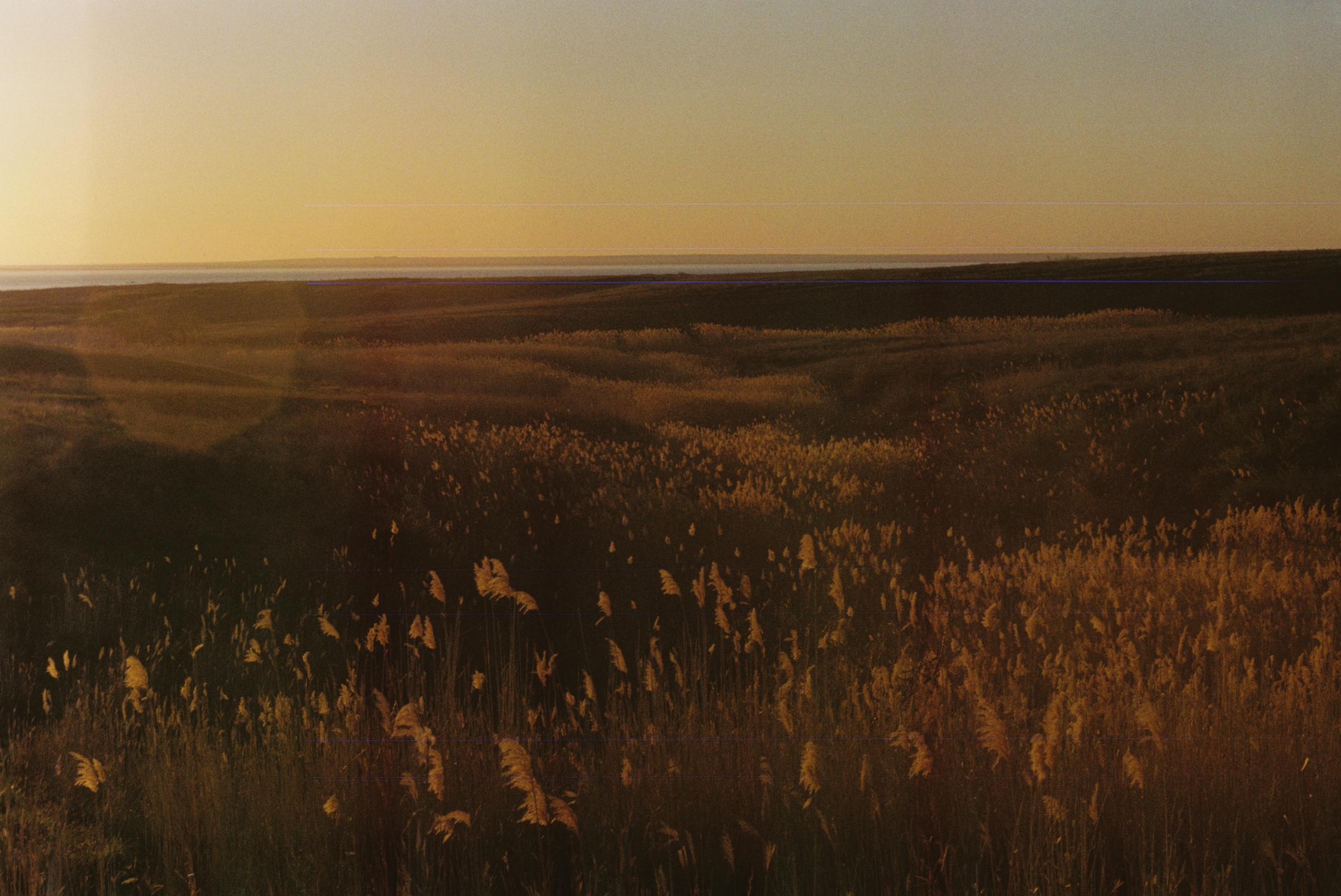 Open American rangeland at golden hour